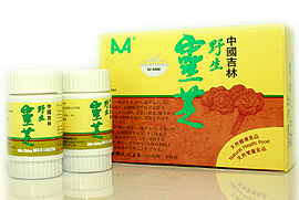 Japan Reishi Mushroom Powder Capsules